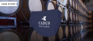 Read more about the article Case Study: Masks and Casks
