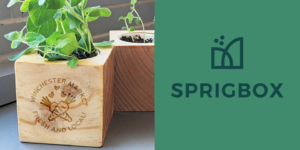 Read more about the article Ready, Set, Grow! Introducing Sprigbox Urban Garden Kits